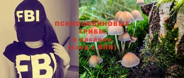 метадон Балабаново