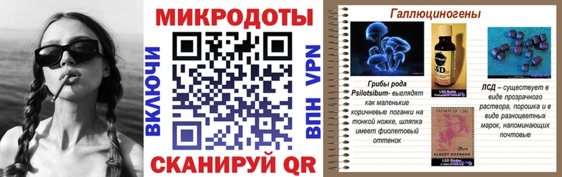 Псилоцибиновые грибы GOLDEN TEACHER  Ессентуки 